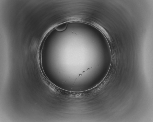 X0000116551051200912101409