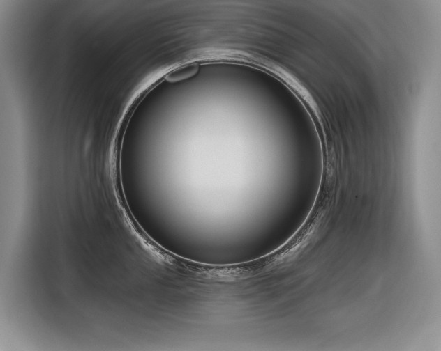 X0000116551053200912101409