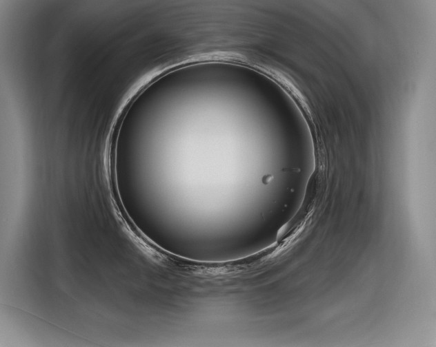 X0000116551054200912101409