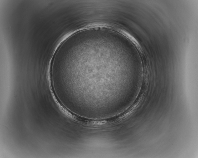 X0000116551055200912101409