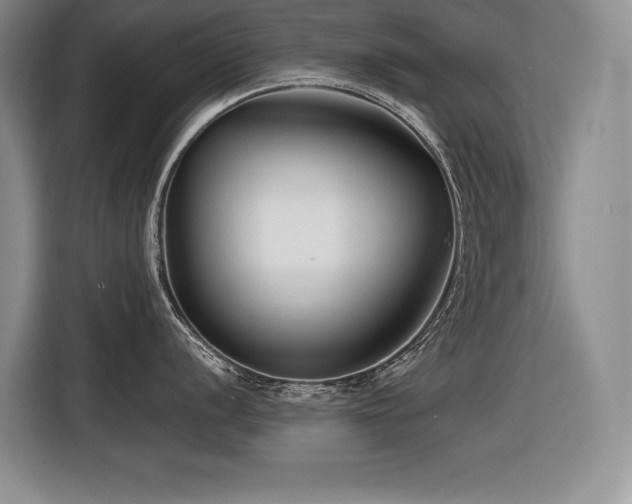 X0000116551056200912101409
