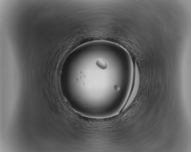 X0000116551057200912101409