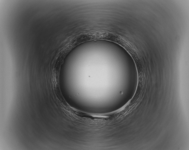 X0000116551058200912101409