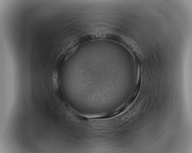 X0000116551060200912101409
