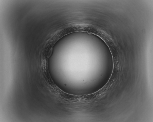 X0000116551061200912101408