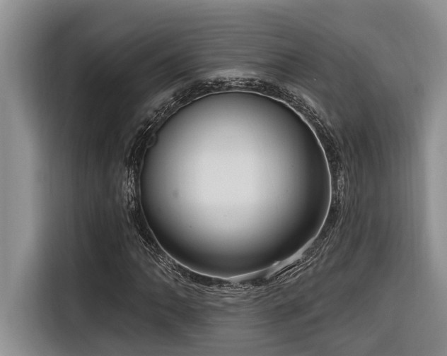 X0000116551062200912101408