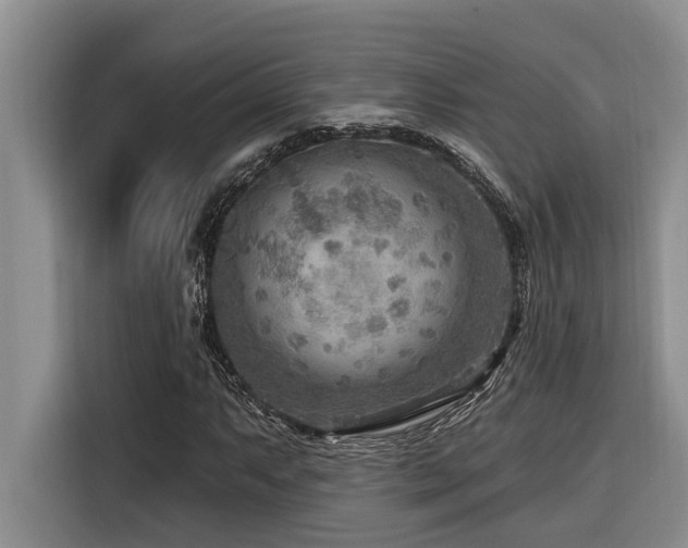 X0000116551063200912101408