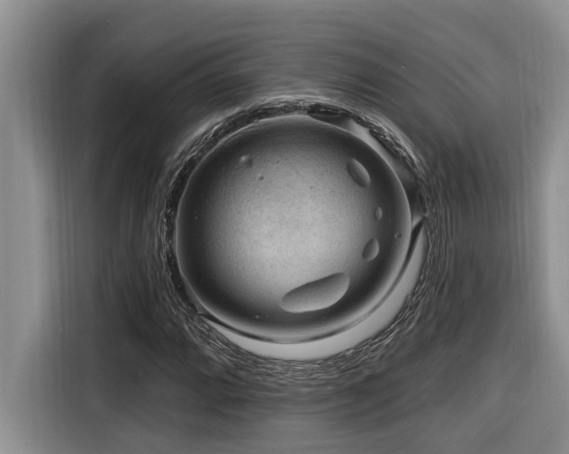X0000116551064200912101408