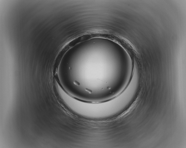 X0000116551065200912101408