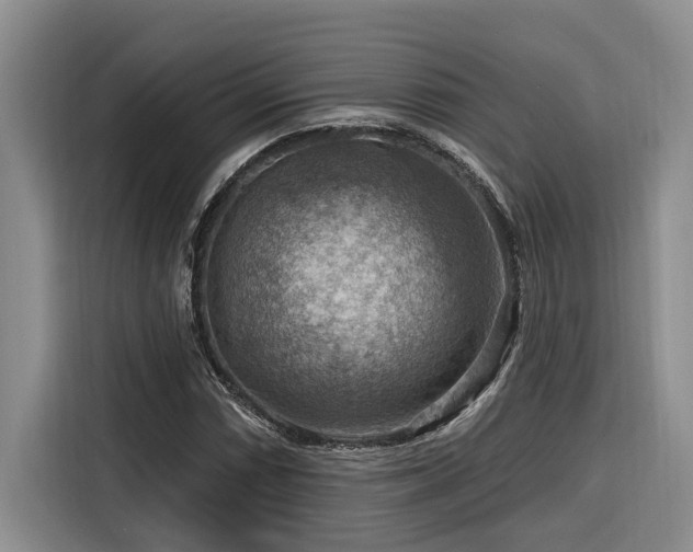 X0000116551066200912101408