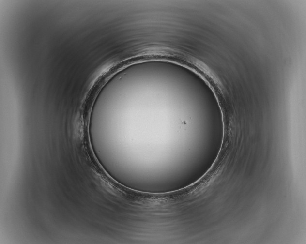 X0000116551067200912101408