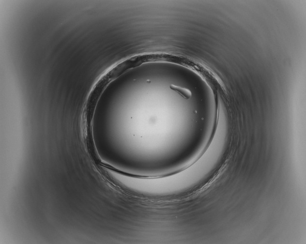 X0000116551069200912101408