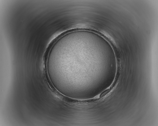 X0000116551070200912101408