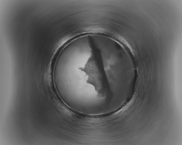 X0000116551071200912101408