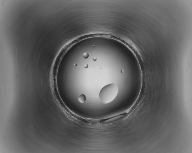 X0000116551072200912101408