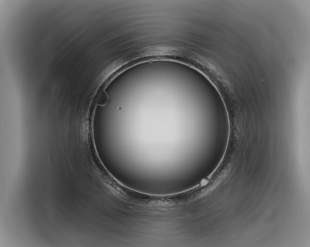 X0000116551073200912101408