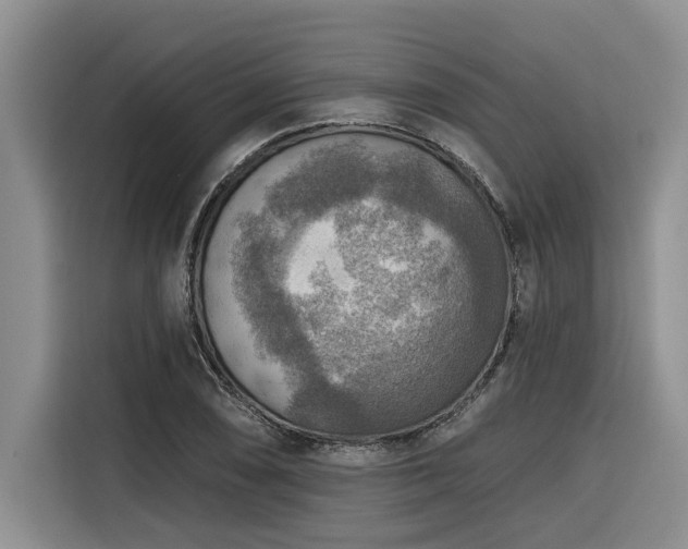 X0000116551074200912101408