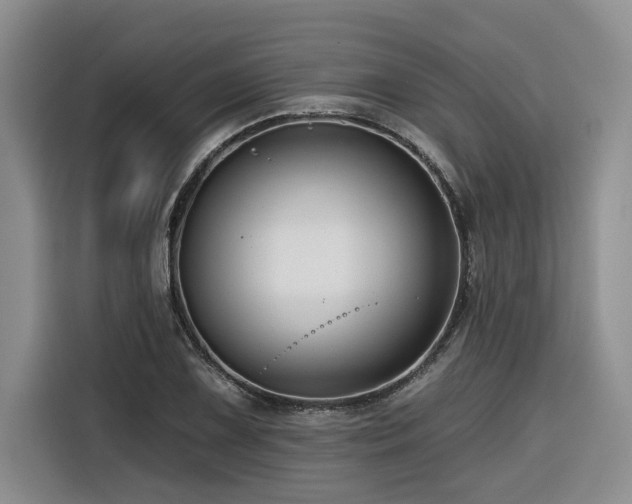 X0000116551075200912101408