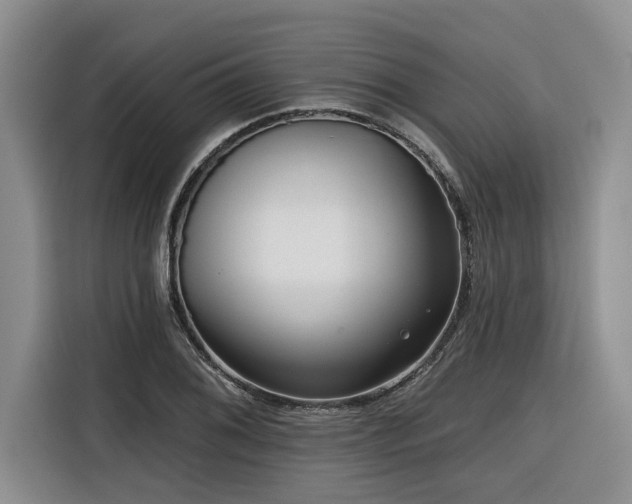 X0000116551076200912101408