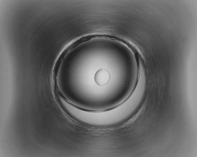 X0000116551077200912101408