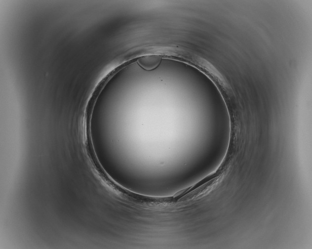 X0000116551079200912101408