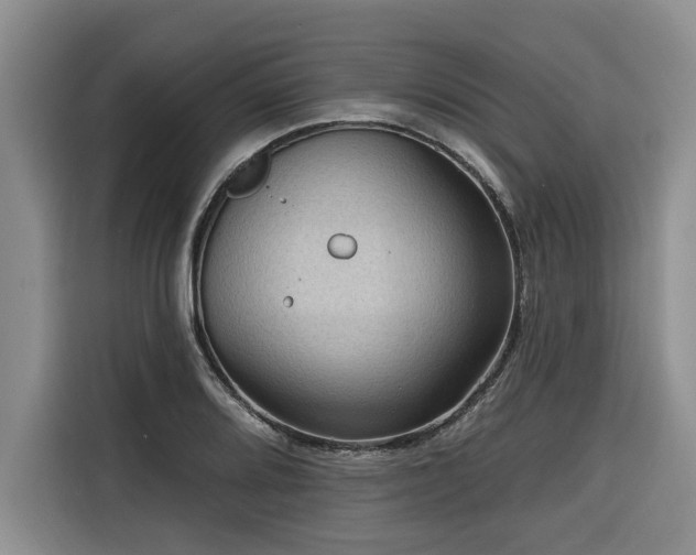 X0000116551080200912101408