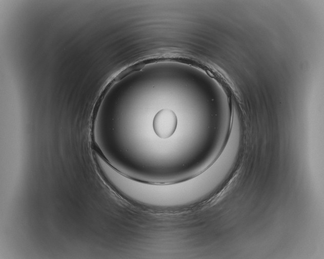 X0000116551081200912101408