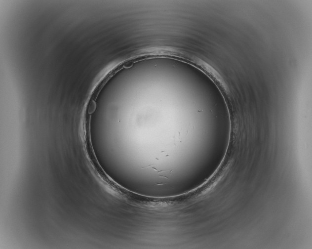 X0000116551082200912101408