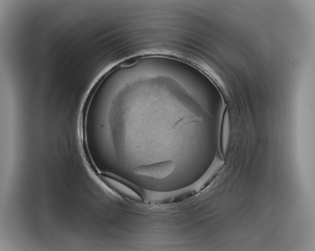 X0000116551084200912101408
