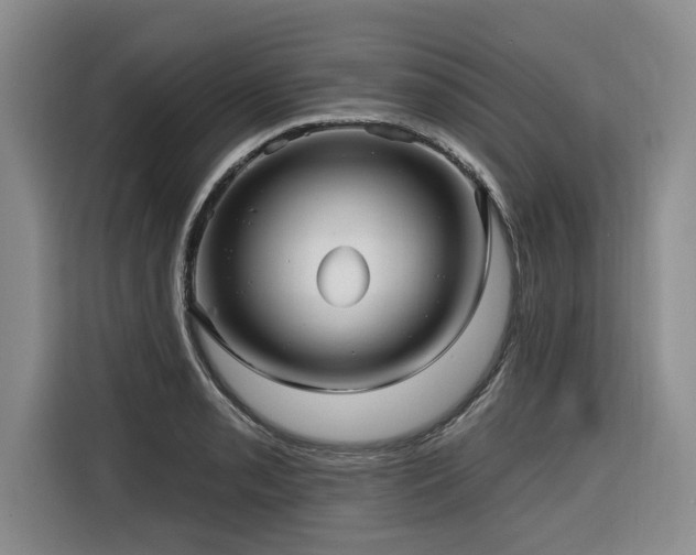 X0000116551085200912101408