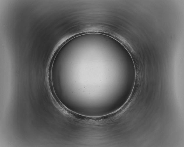 X0000116551086200912101408