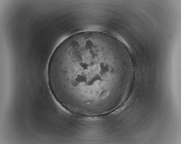 X0000116551087200912101408