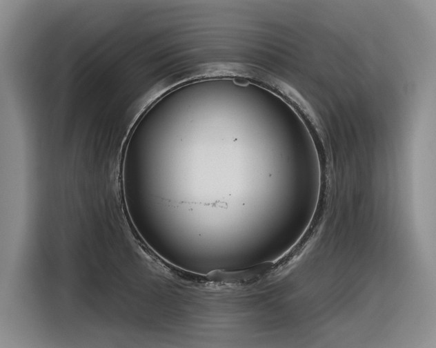 X0000116551089200912101408