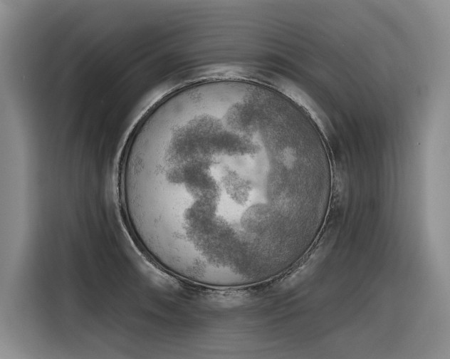 X0000116551090200912101408