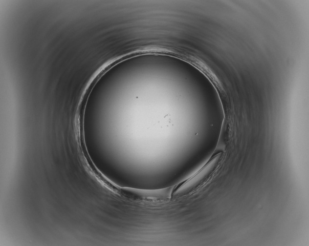 X0000116551092200912101408