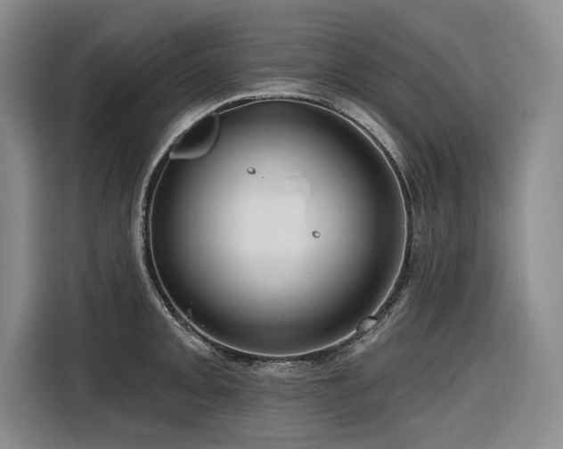 X0000116551093200912101408