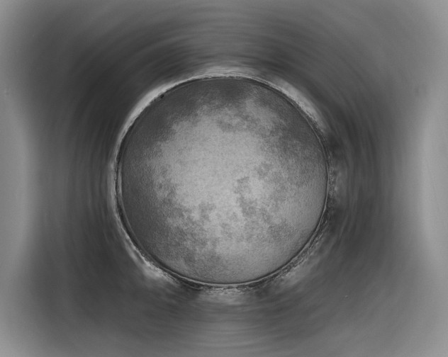 X0000116551094200912101408