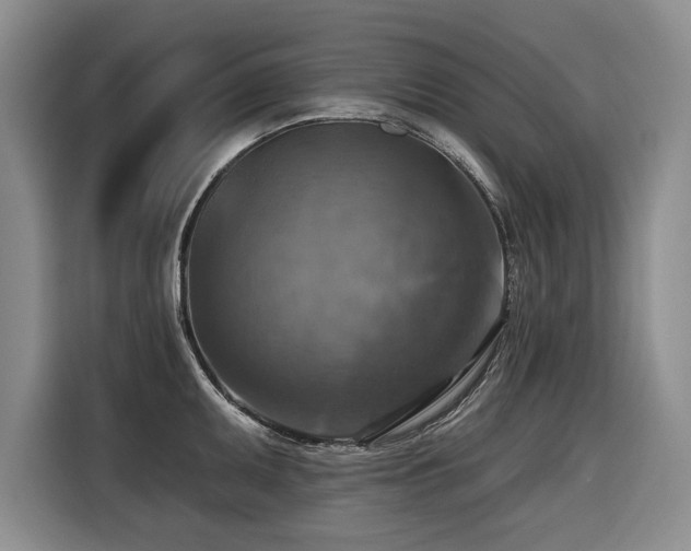 X0000116551095200912101408
