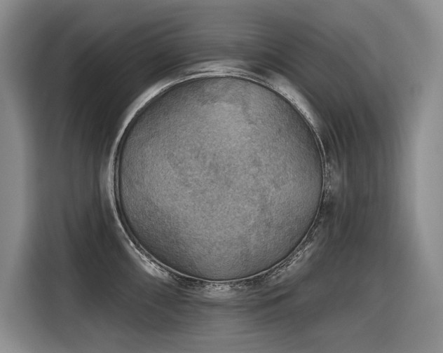 X0000116551098200912101408