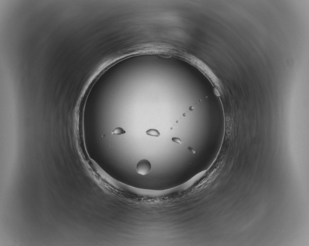 X0000116551099200912101408