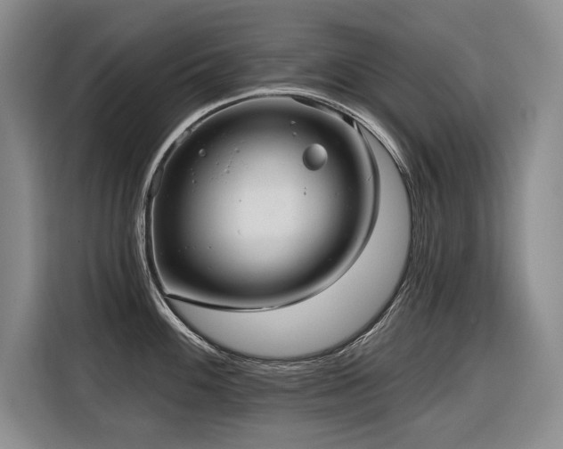 X0000116551100200912101408