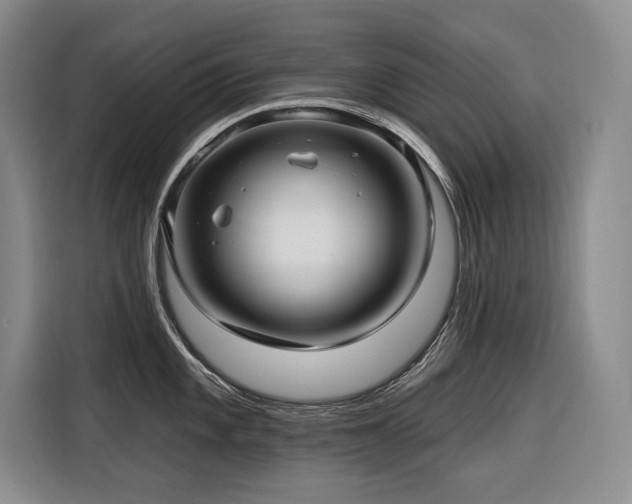 X0000116551101200912101408