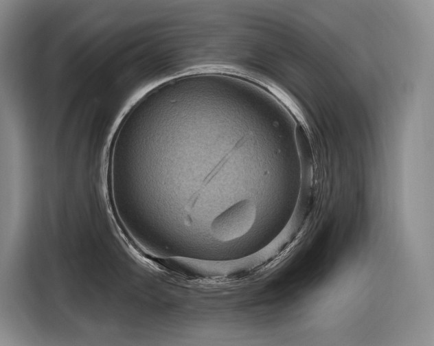 X0000116551102200912101408