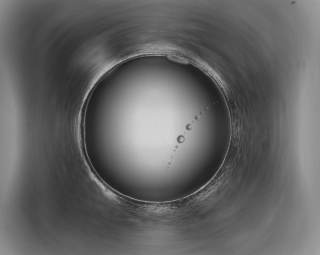 X0000116551103200912101408