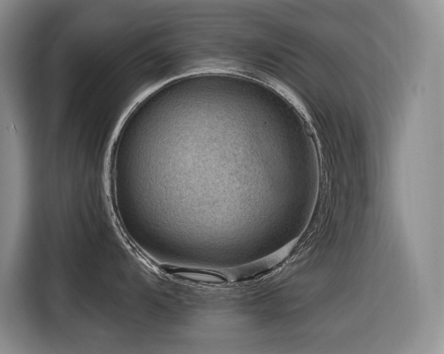 X0000116551104200912101408