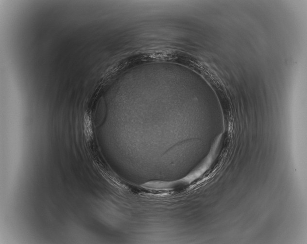 X0000116551106200912101407