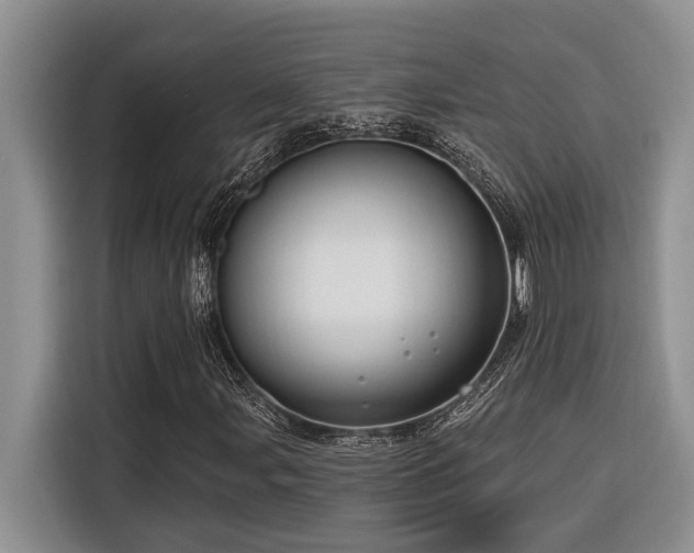 X0000116551107200912101407