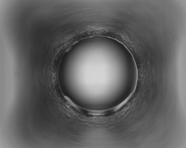 X0000116551109200912101407
