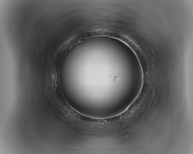 X0000116551111200912101407