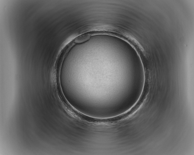 X0000116551114200912101407